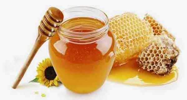 معرفی عسل بوقناق طبیعی + بهترین قیمت خرید